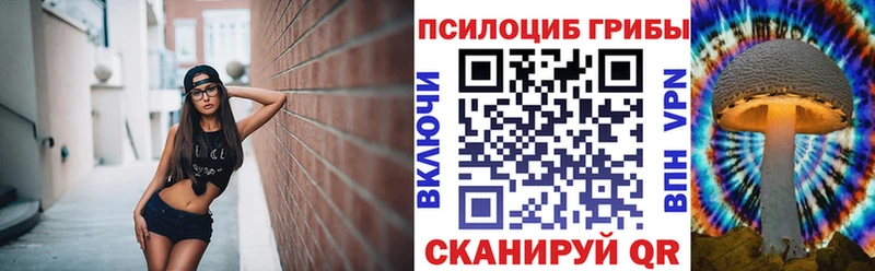 shop формула  Заполярный  Галлюциногенные грибы Magic Shrooms 